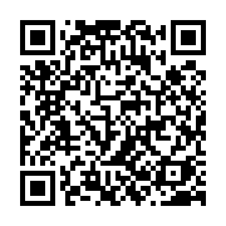 QR code for N2953I