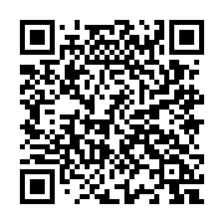 QR code for N295FF