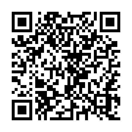 QR code for N29REZ