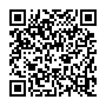QR code for N303HJ