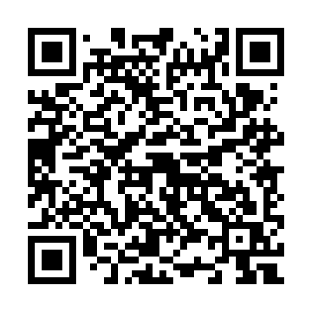 QR code for N306IS