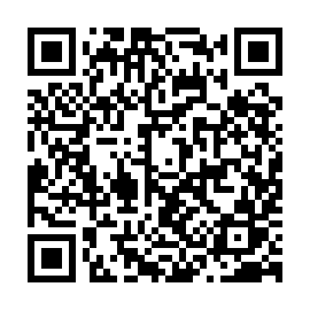 QR code for N311IR