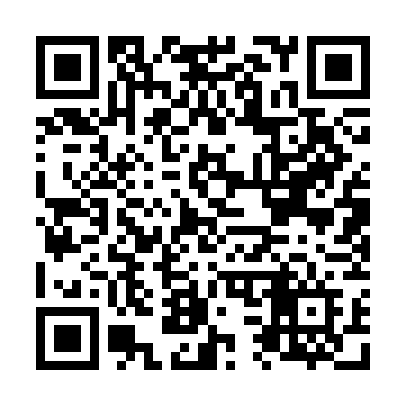 QR code for N313GF