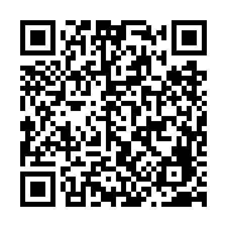 QR code for N317FF