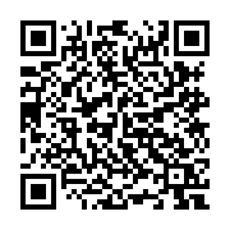 QR code for N338GS