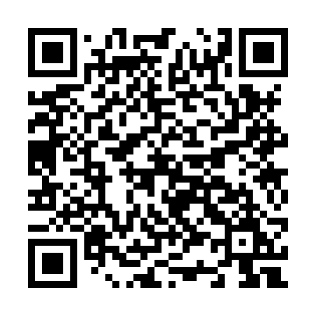 QR code for N338RM