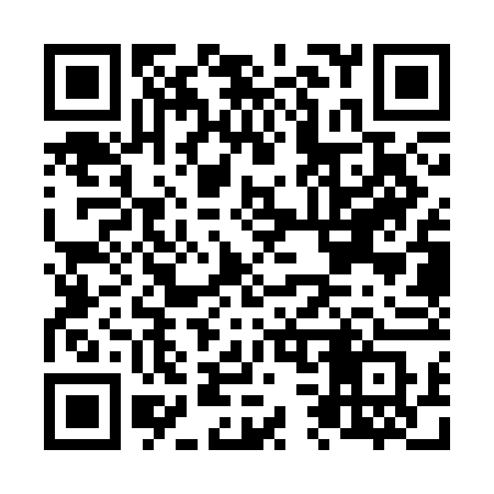 QR code for N33SFS