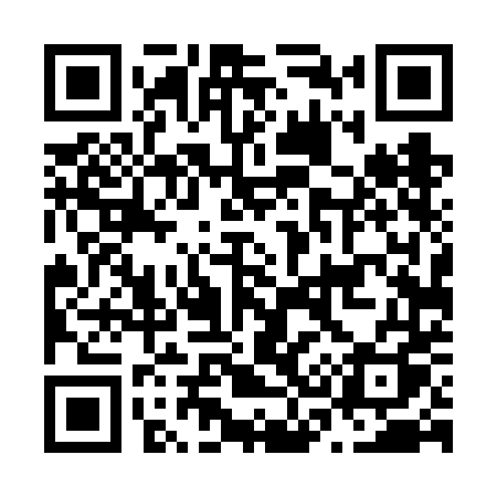 QR code for N346DQ