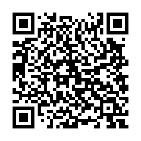 QR code for N3606L