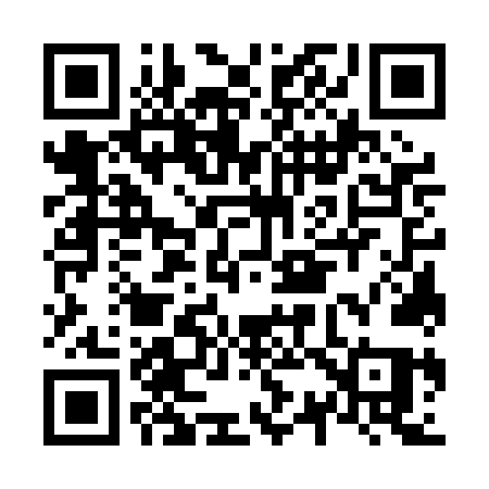 QR code for N370NQ