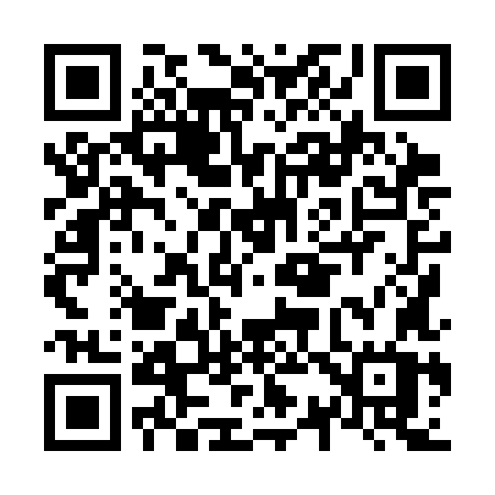 QR code for N383LW