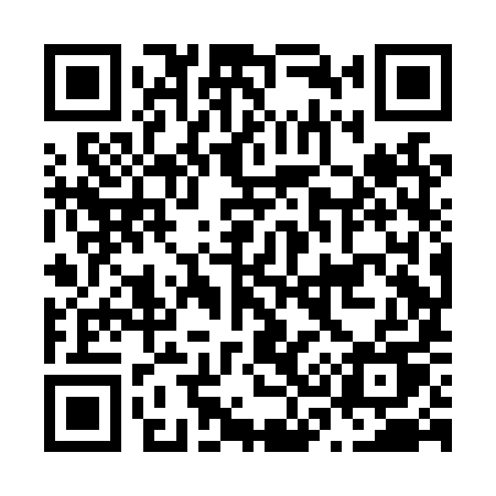 QR code for N38LYU