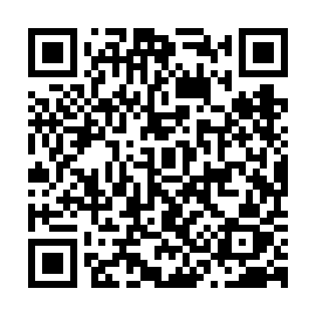 QR code for N38VAZ
