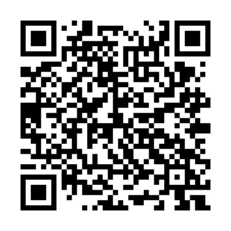 QR code for N38VDK