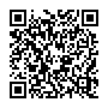 QR code for N3934Z