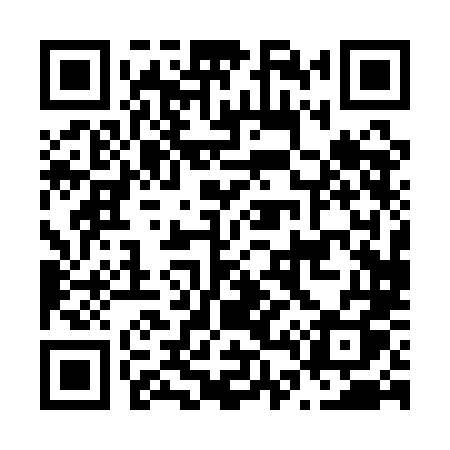 QR code for N401LQ