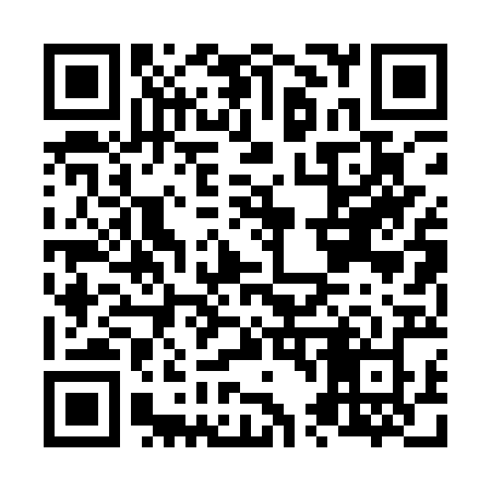 QR code for N401RZ