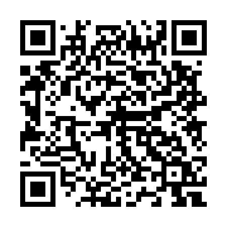 QR code for N4053V