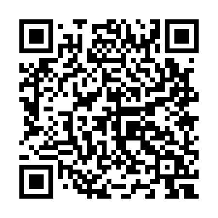 QR code for N4118T