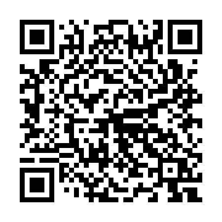 QR code for N41APQ