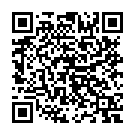 QR code for N41HSP