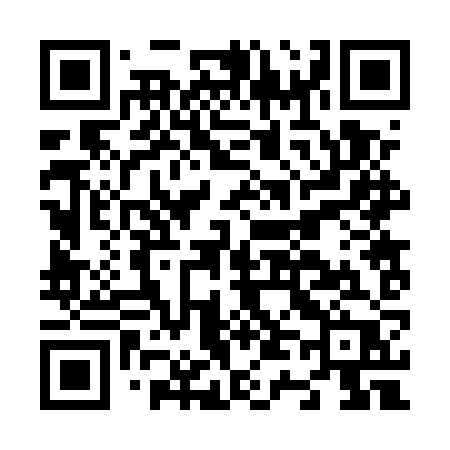 QR code for N425ZP