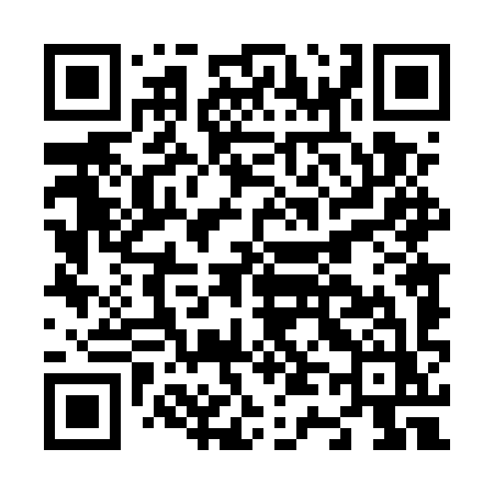 QR code for N445YZ