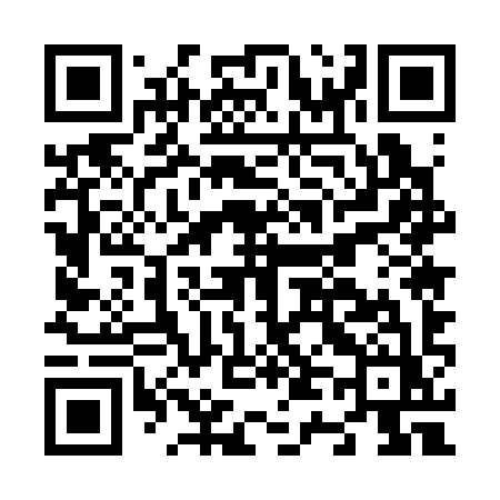 QR code for N4539Z