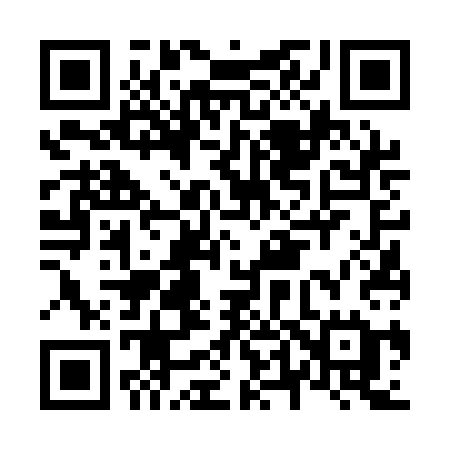 QR code for N461CE