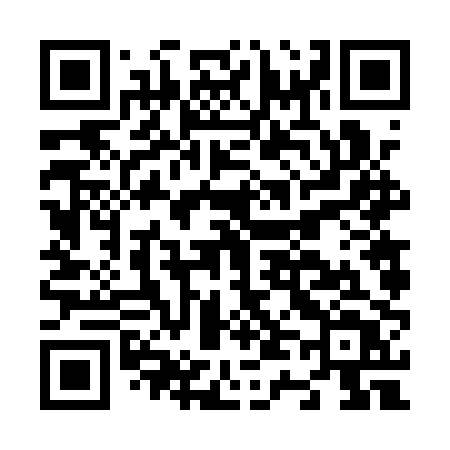 QR code for N461PT
