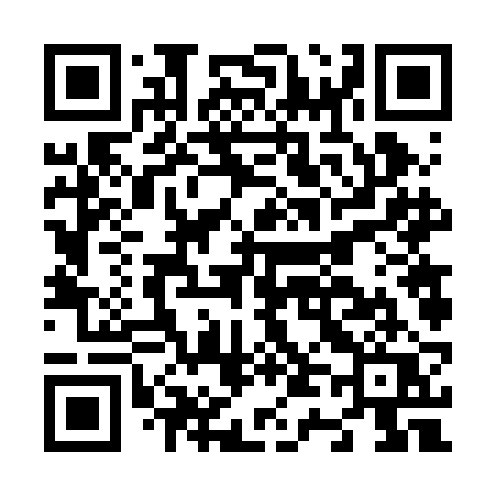 QR code for N462BQ