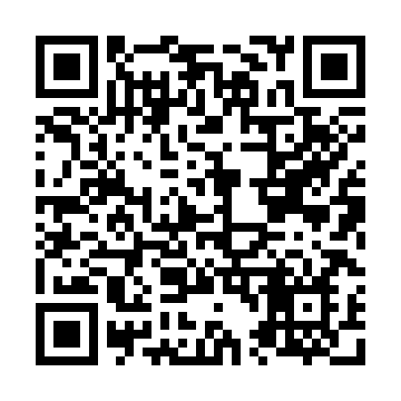 QR code for N4838N