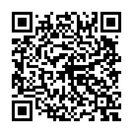 QR code for N4847V