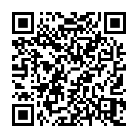 QR code for N4911S