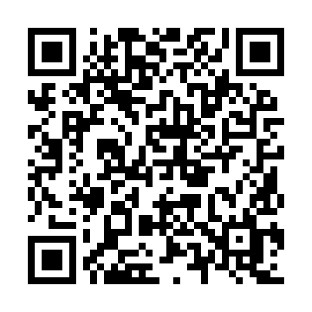 QR code for N519YL