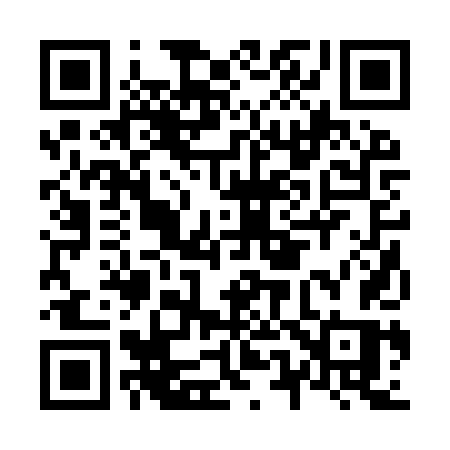 QR code for N529TS