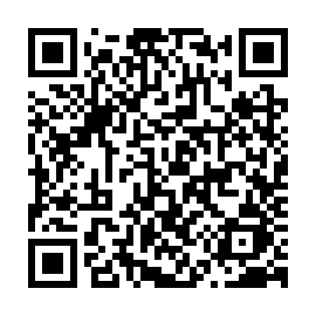 QR code for N533ZJ