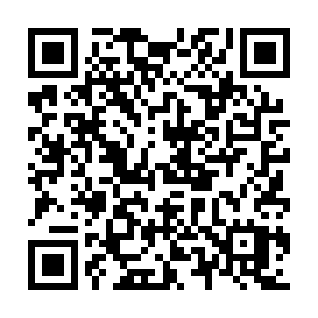 QR code for N541SU