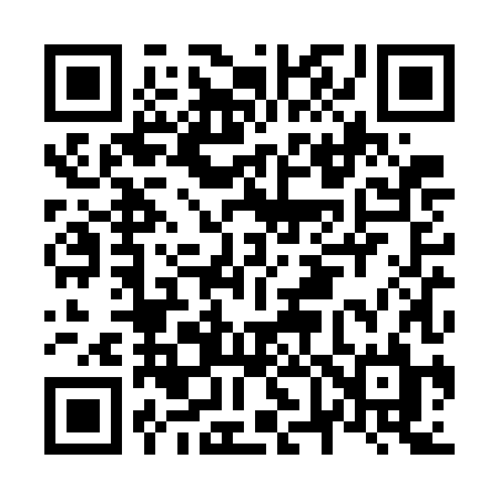 QR code for N60WHL