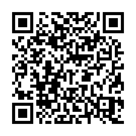 QR code for N6390S