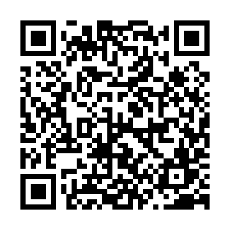 QR code for N6519V
