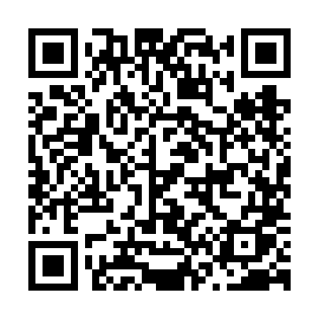 QR code for N696LQ