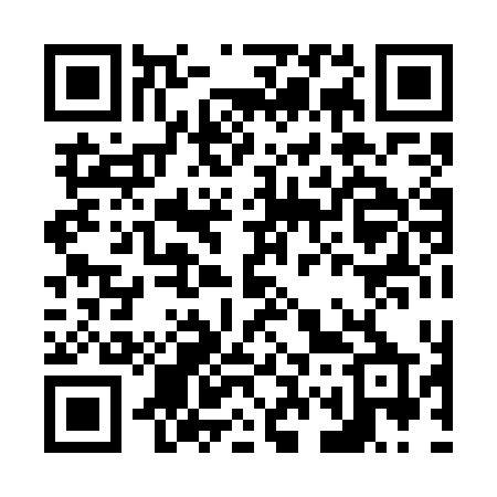 QR code for N787DP
