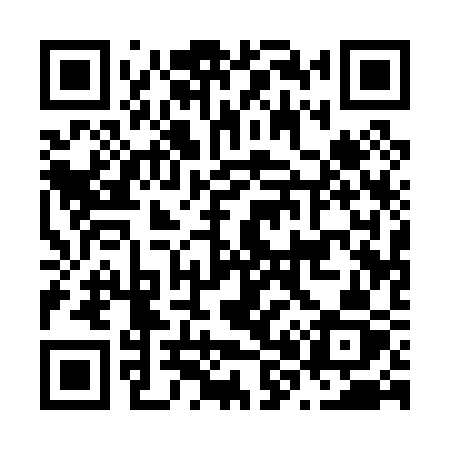 QR code for N8103Z