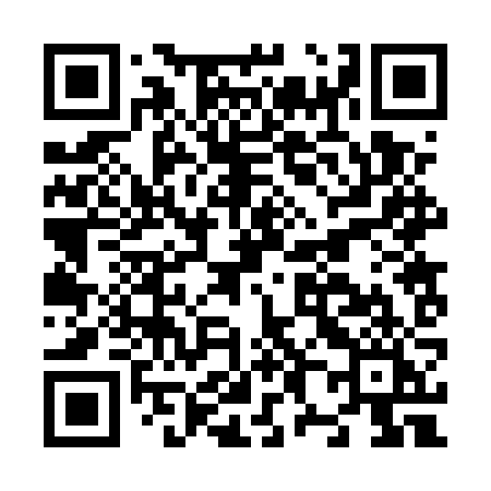 QR code for N825ZI