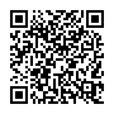 QR code for N9095C