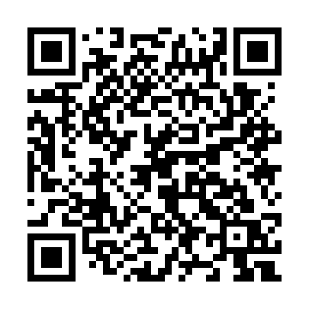 QR code for N917SS