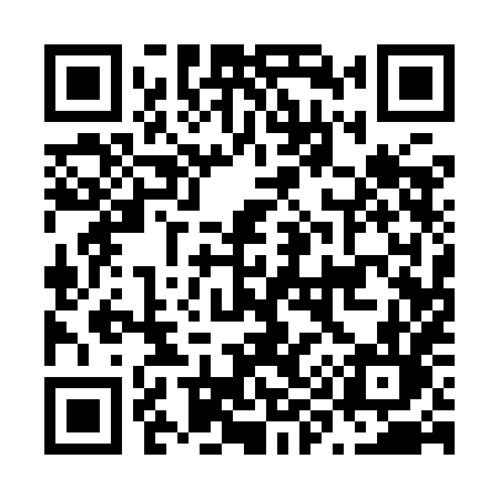 QR code for N919HL