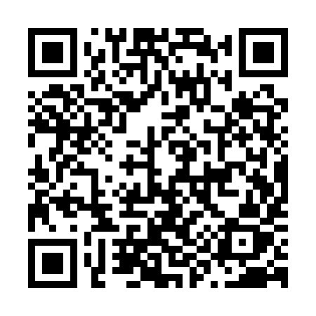 QR code for N91QYZ