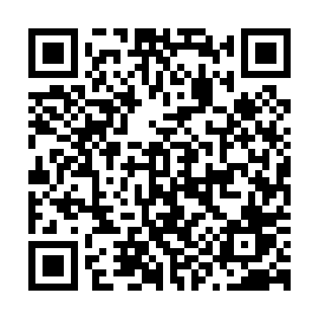 QR code for N9500V